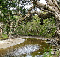 Saltwater National Park - Lismore Accommodation