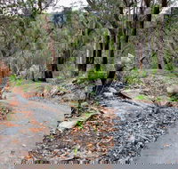 Stepping Stone Crossing to Cascades Trail - Lismore Accommodation