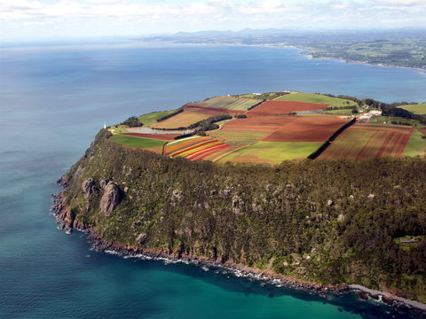 Table Cape - Lismore Accommodation 1