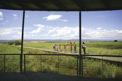 Tamar Island Wetlands Centre And Reserve - Lismore Accommodation 0