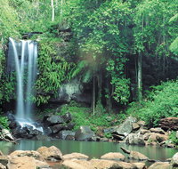 Tamborine National Park - Lismore Accommodation