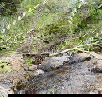 The Gap - Lismore Accommodation