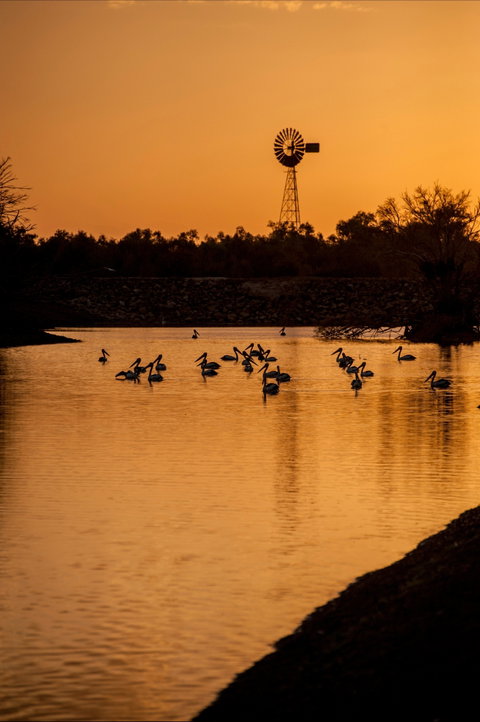 Thomson River, Longreach - Lismore Accommodation 2