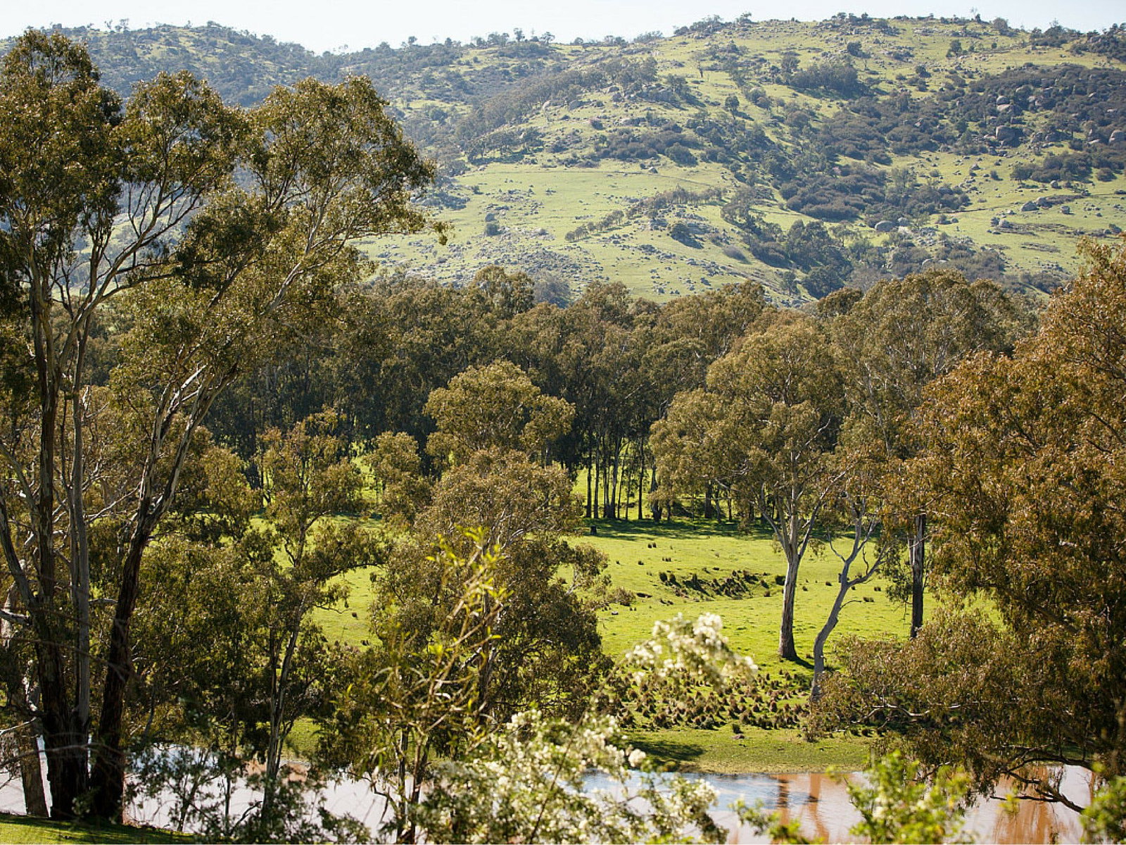 Trawool VIC Lismore Accommodation