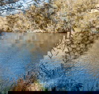 Wandandian Creek picnic area - Lismore Accommodation