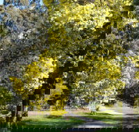 Wattle Park - Lismore Accommodation