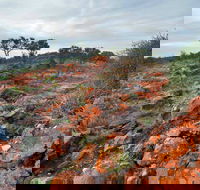 Western Ridge Walk - Lismore Accommodation