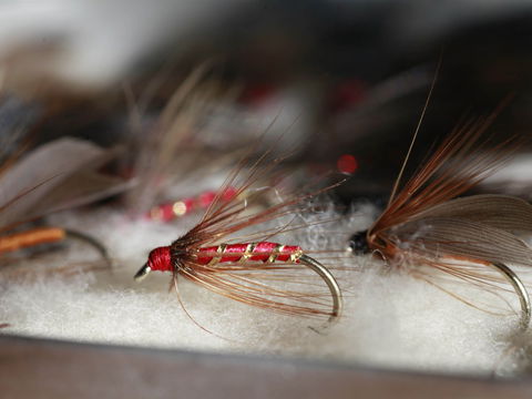 Australian Fly Fishing Museum - Lismore Accommodation 0