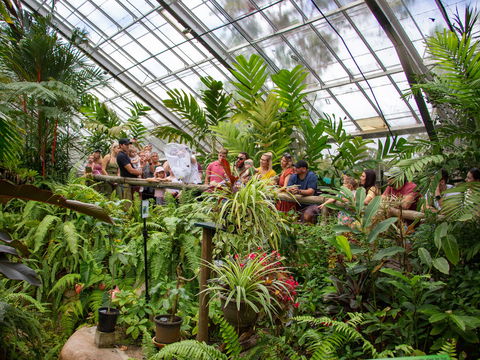Australian Butterfly Sanctuary - Lismore Accommodation 2