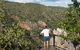 Blencoe Falls, Girringun National Park - thumb 1