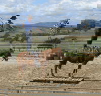 Boggy Creek Show - Lismore Accommodation