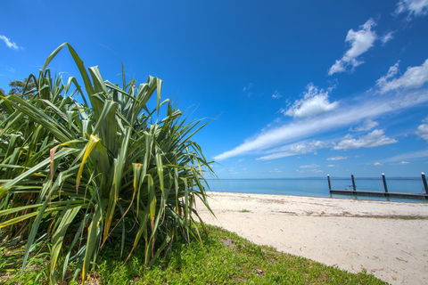 Bongaree Walkabout - Lismore Accommodation 0