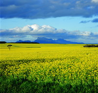 Borden - Lismore Accommodation