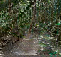 Cascades Walk - Lismore Accommodation