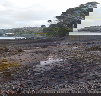 Churchill Island Marine National Park - Lismore Accommodation