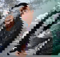 Cleland Wildlife Park - Koala Hold - Lismore Accommodation