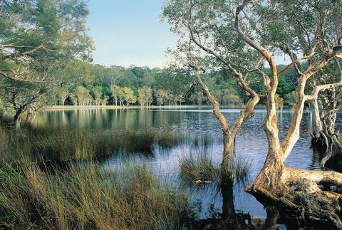 Cooloola, Great Sandy National Park - Lismore Accommodation 1