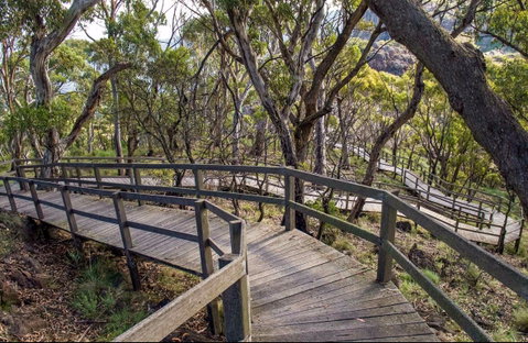 Governor Summit (Corrunbral Borawah) Walking Track - Lismore Accommodation 0