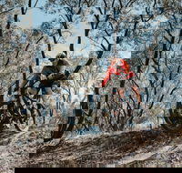 Mountain Bike Trails Deniliquin - Lismore Accommodation