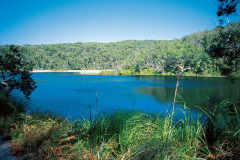 Naree Budjong Djara National Park - Lismore Accommodation 1