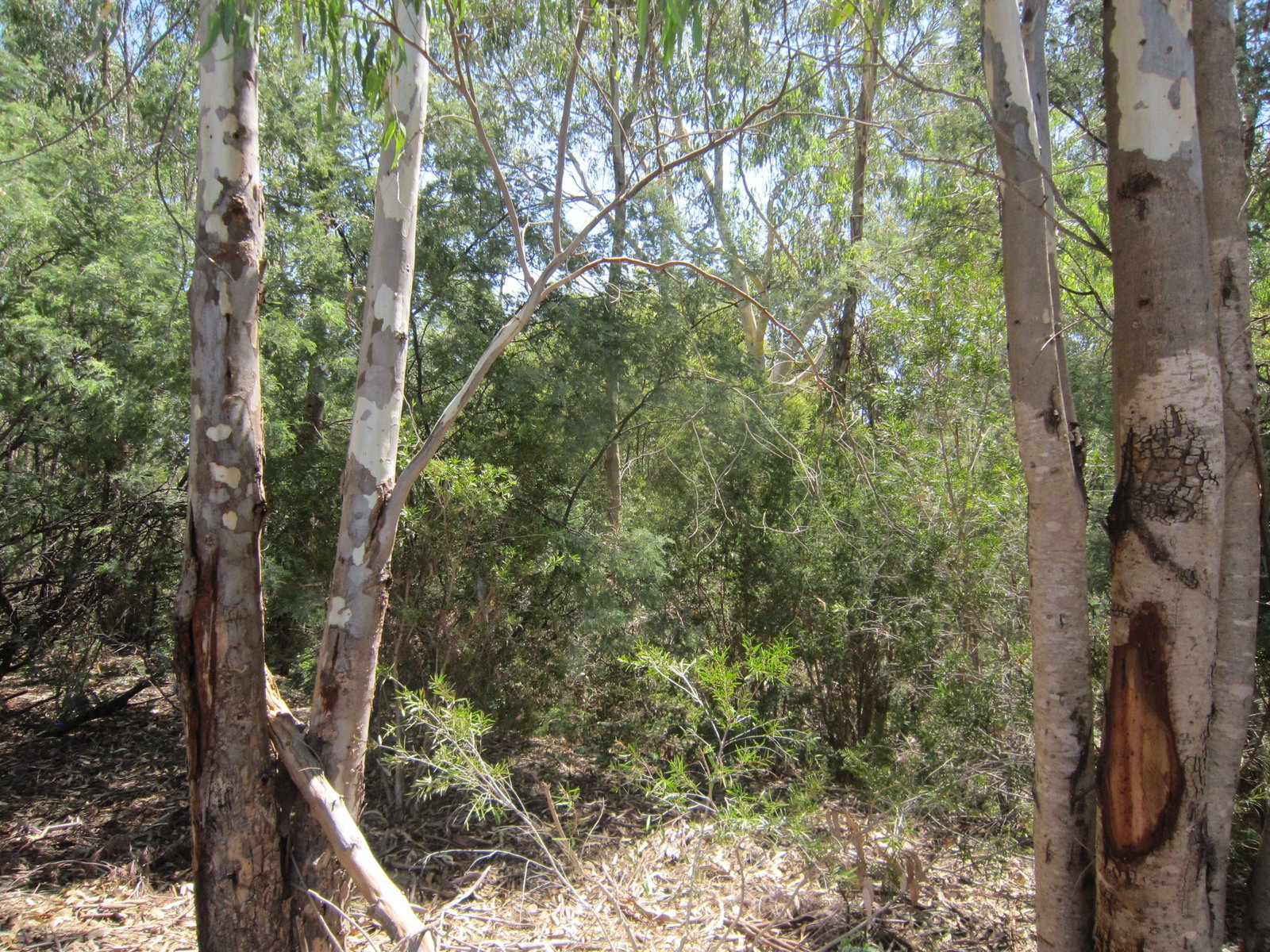 Wangaratta VIC Lismore Accommodation