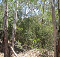 One Mile Creek shared path - Lismore Accommodation