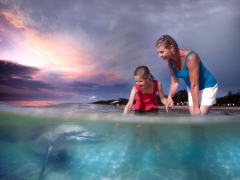 Tangalooma Wild Dolphin Feeding - Lismore Accommodation 1