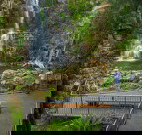 The Falls Walk Budderoo National Park - Lismore Accommodation