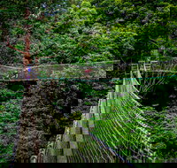 Thunderbird Park  - Tamborine Mountain Gold Coast Region - Lismore Accommodation