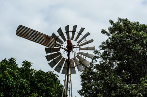 Tinaberries - Lismore Accommodation 0