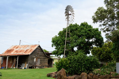 Tinaberries - Lismore Accommodation 1