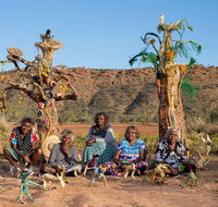 Tjanpi Desert Weavers - Lismore Accommodation