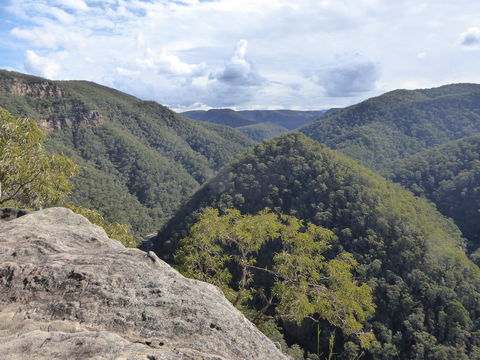 Vale Of Avoca - Lismore Accommodation 0