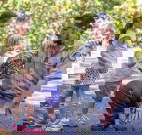 Walkabout Creek Discovery Centre - Lismore Accommodation