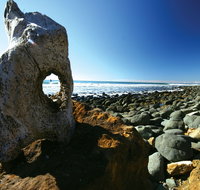 Wallabi Point - Lismore Accommodation