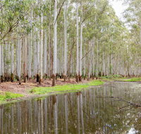 Wonga Wetlands - Lismore Accommodation