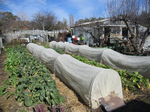 Wynlen House: Tour A Unique Urban Regenerative Farm And Market Garden - Lismore Accommodation 0