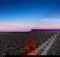 Yanga National Park - Lismore Accommodation