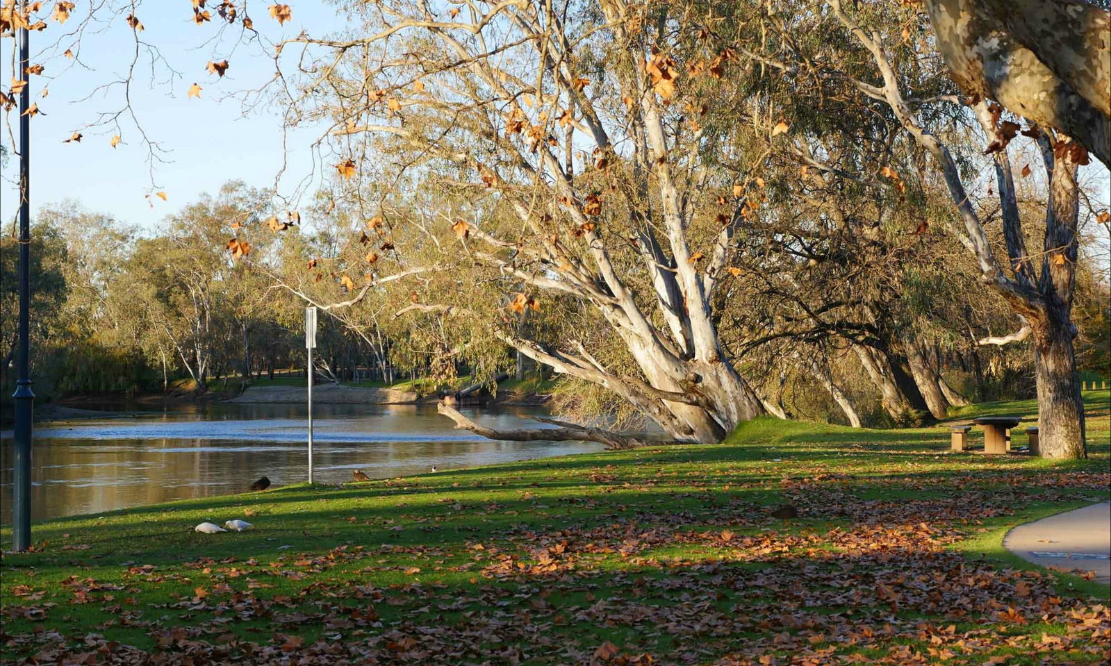 Moorwatha ACT Lismore Accommodation