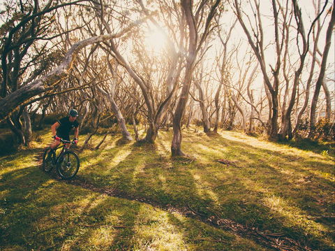 Australian Alpine Epic Mountain Bike Trail - Lismore Accommodation 2