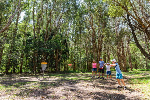 Ballina Disc Golf - Lismore Accommodation 0