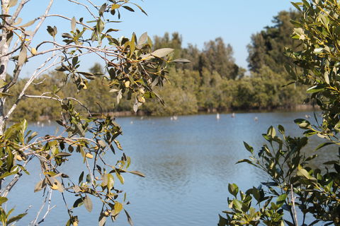 Boyters Lane Bird Hide - Lismore Accommodation 2
