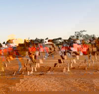 Broken Hill Camels - Lismore Accommodation