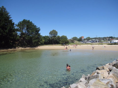Bruce Steer Pool - Lismore Accommodation 0