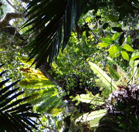 Byrrill Creek Walking Track - Lismore Accommodation