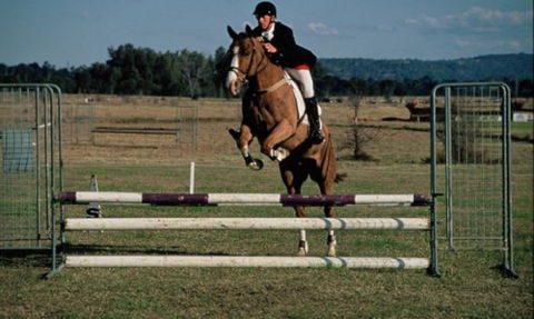 Camden Bicentennial Equestrian Park - Lismore Accommodation 0