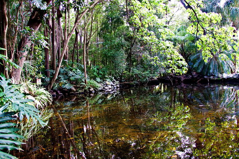 Cascade Gardens - Lismore Accommodation 2