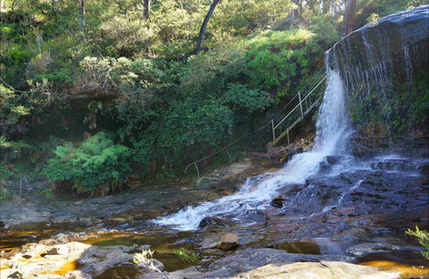 Charles Darwin Walk - Lismore Accommodation 0