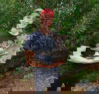 Cooberrie Park Wildlife Sanctuary - Lismore Accommodation