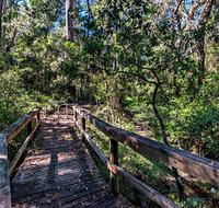 Dawson River Walking Track - Lismore Accommodation
